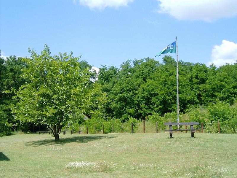 20100709 010.jpg